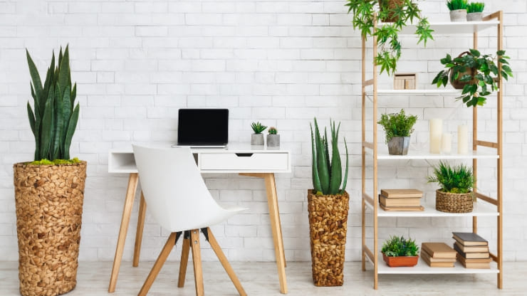 Home office with indoor plants